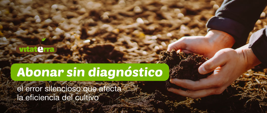 Manos sosteniendo tierra oscura y fértil en campo agrícola – Vitaterra