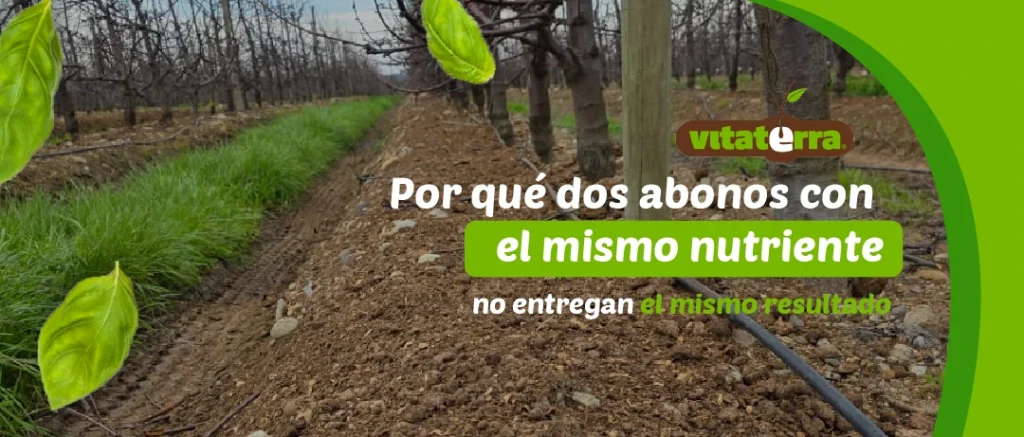 Comparación de abonos mostrando cómo la formulación afecta la absorción de nutrientes en cultivos