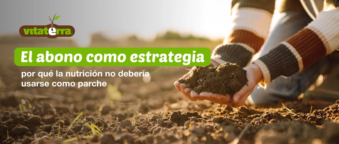 Manos sosteniendo tierra fértil en campo agrícola al atardecer – Vitaterra