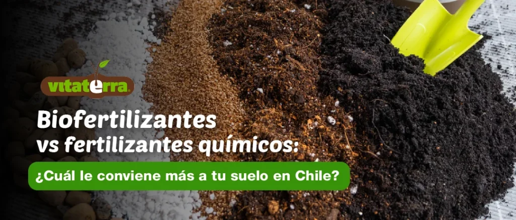 Comparativa entre biofertilizantes y fertilizantes químicos en Chile