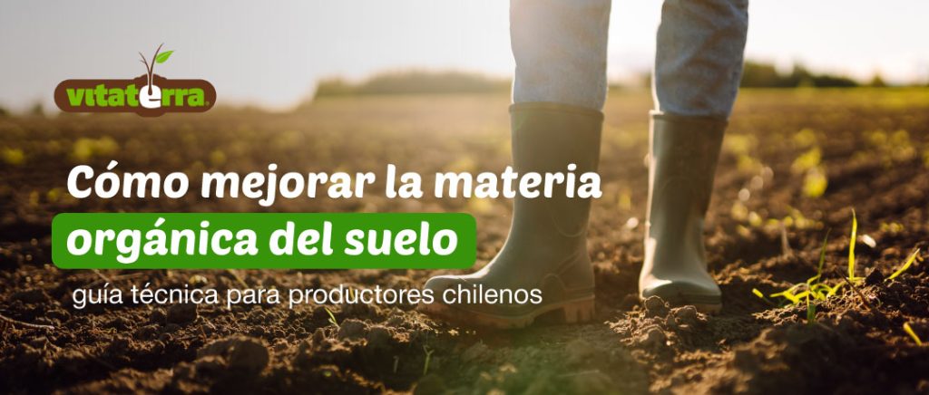 Productor en suelo agrícola trabajando la materia orgánica, guía técnica Vitaterra