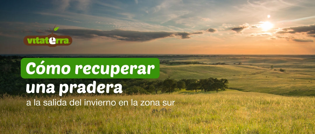 Recuperación de pradera a la salida del invierno en la zona sur de Chile